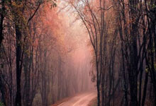 失眠症候群,失眠症候群小说