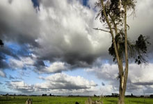 失眠症候群,失眠症候群小说