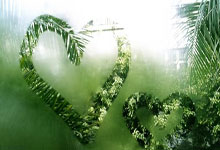 失眠症候群,失眠症候群小说