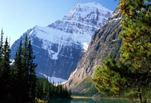 焦虑症吃什么中成药效果好,焦虑症吃什么中成药效果好得快