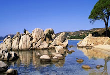 十大治疗焦虑症中成药,治疗焦虑症的药有哪些中成药