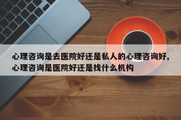 心理咨询是去医院好还是私人的心理咨询好,心理咨询是医院好还是找什么机构