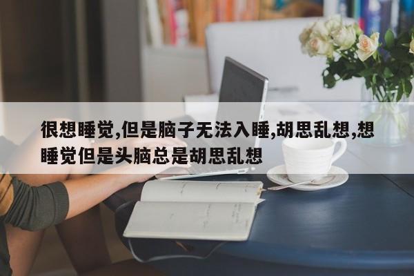 很想睡觉,但是脑子无法入睡,胡思乱想,想睡觉但是头脑总是胡思乱想