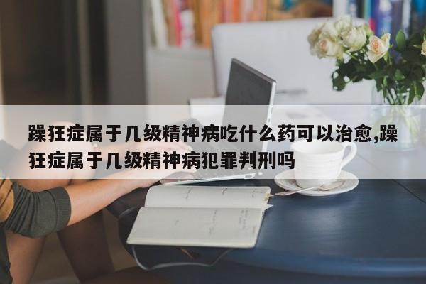 躁狂症属于几级精神病吃什么药可以治愈,躁狂症属于几级精神病犯罪判刑吗
