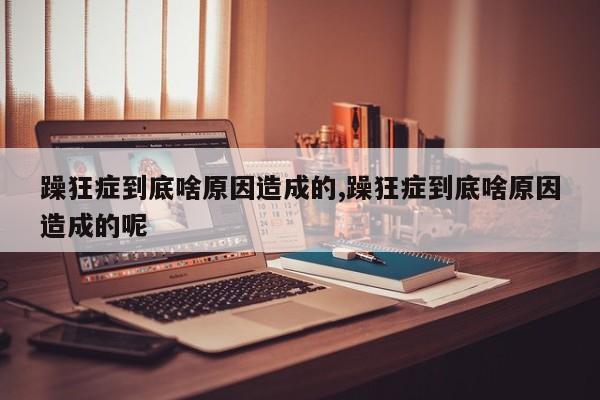 躁狂症到底啥原因造成的,躁狂症到底啥原因造成的呢