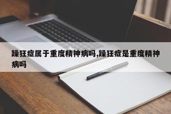 躁狂症属于重度精神病吗,躁狂症是重度精神病吗