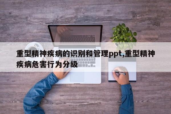 重型精神疾病的识别和管理ppt,重型精神疾病危害行为分级